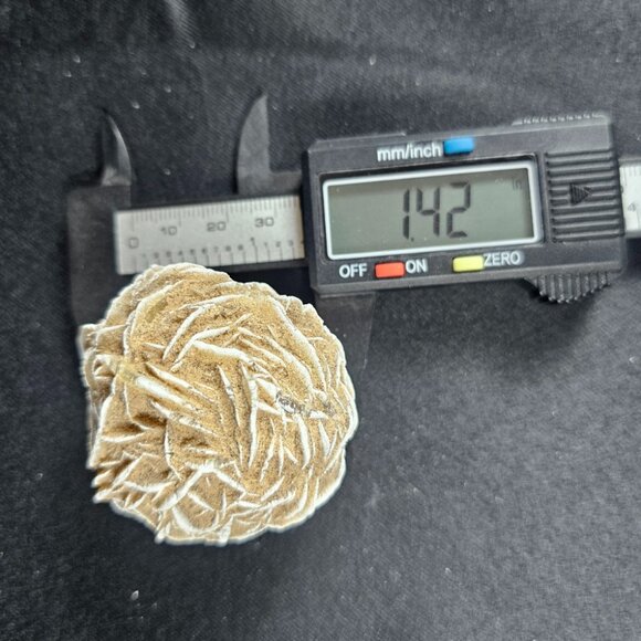 Desert Rose - Picture 3 of 4